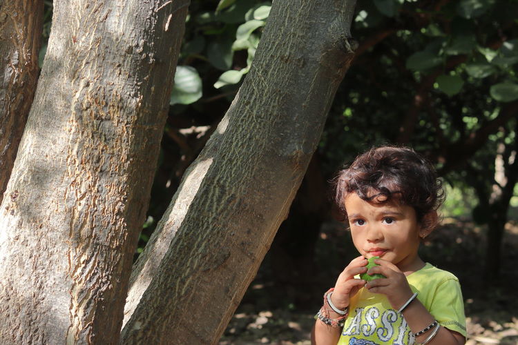A beautiful indian little child eating ripe guava in the garden