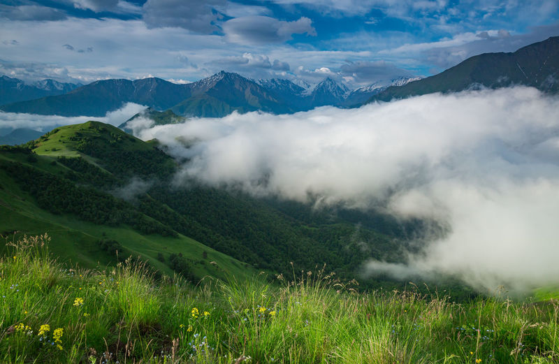 Alpine meadows and fog in mountainous chechnya in the caucasus