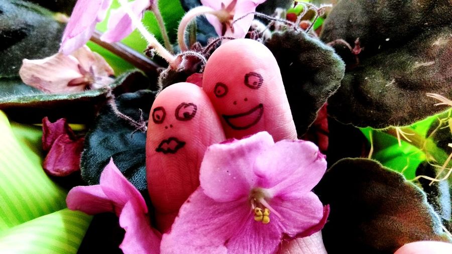 Close-up of pink flowers with toy