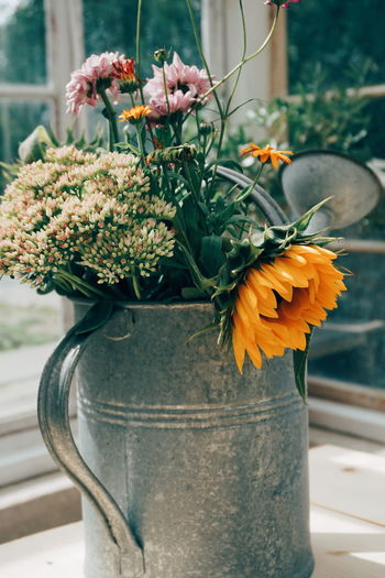 Close-up of flowers in watering can on table against window
