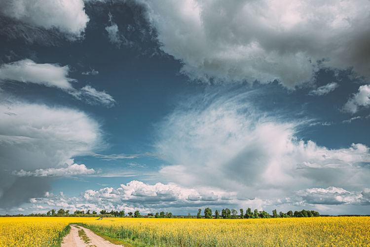 Scenic view of field against cloudy sky