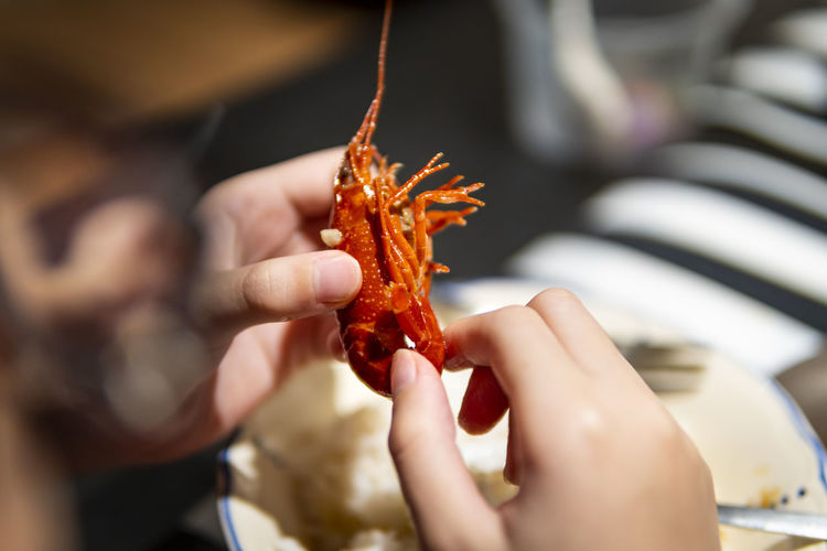 Close up of a kid holding a mini lobster