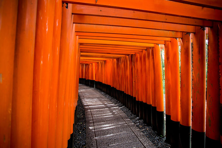 Footpath amidst torii gates at fushimi inari shrine