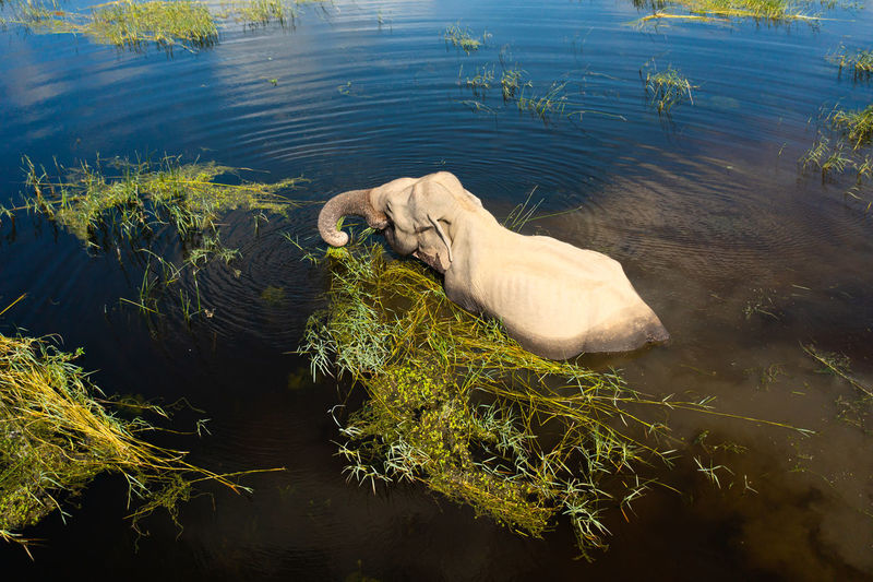 High angle view of water