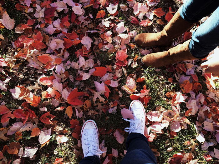 Low section of people standing on autumn leaves