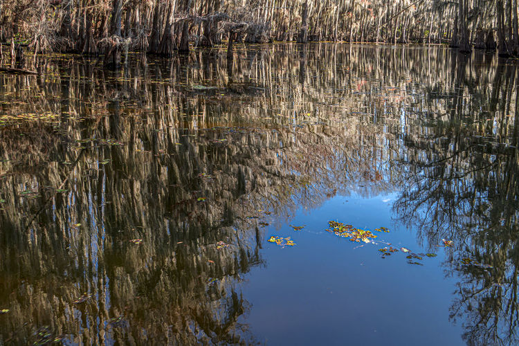 reflection