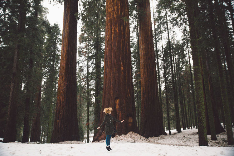 Woman jumping amidst trees in forest during winter