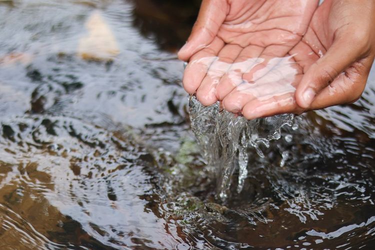 Cropped image of person hand in water