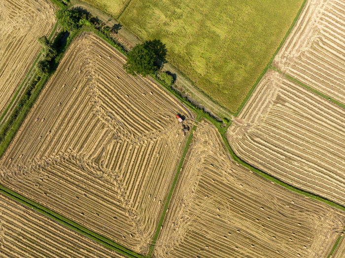 Full frame shot of agricultural field
