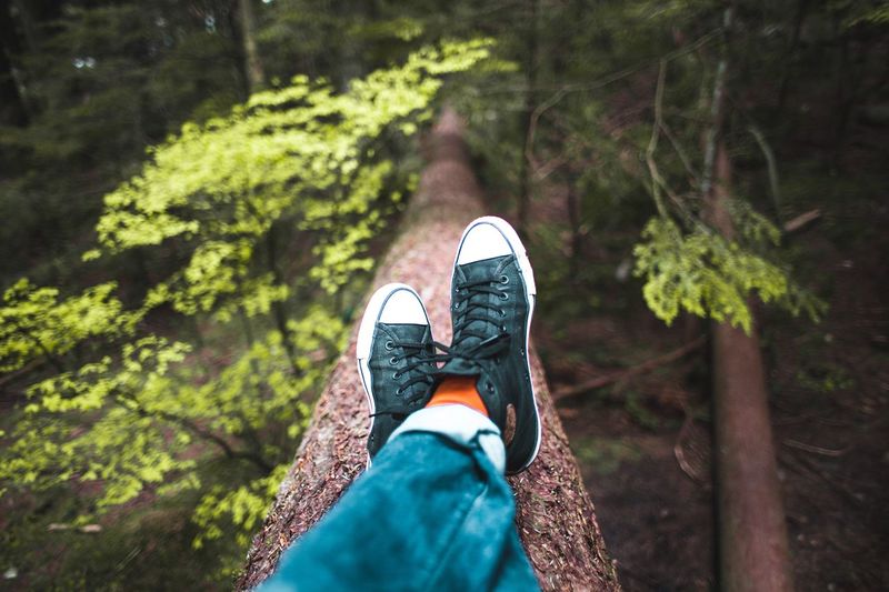 Low section of person wearing shoes in forest