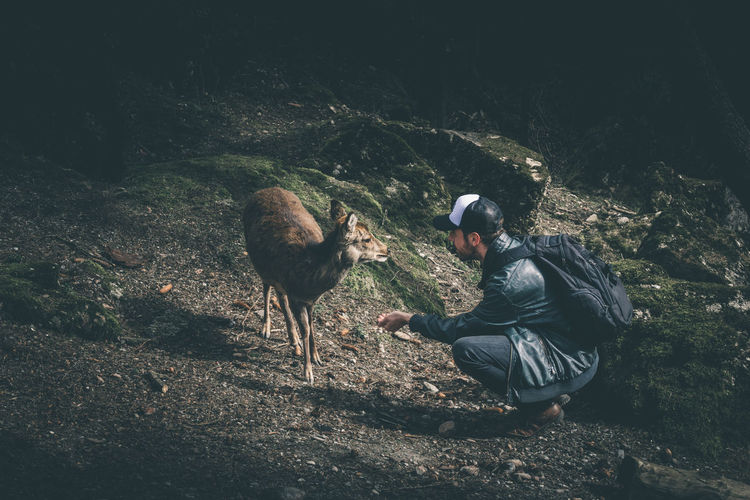 View of man and deer outdoors