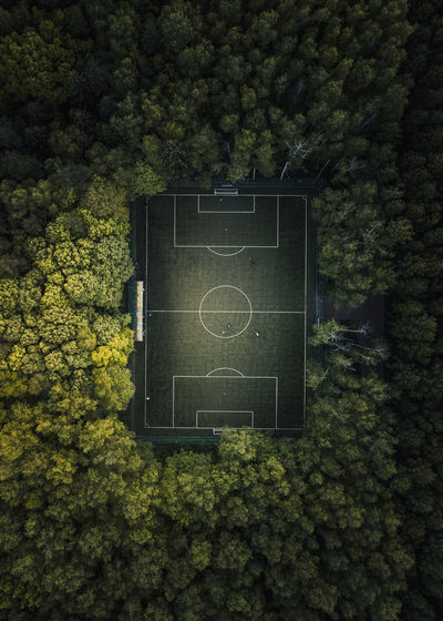 Built structure by trees on wall