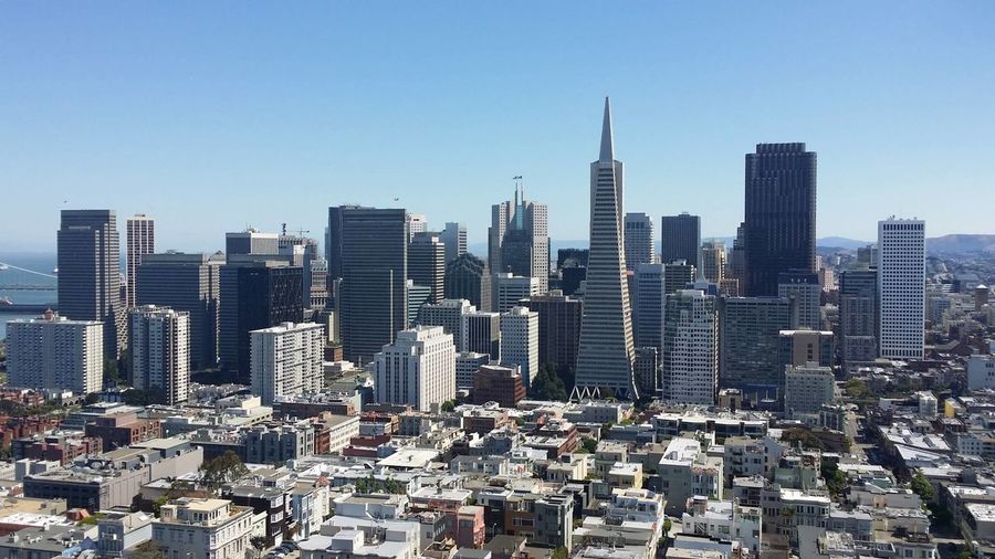 Transamerica pyramid and buildings against clear sky