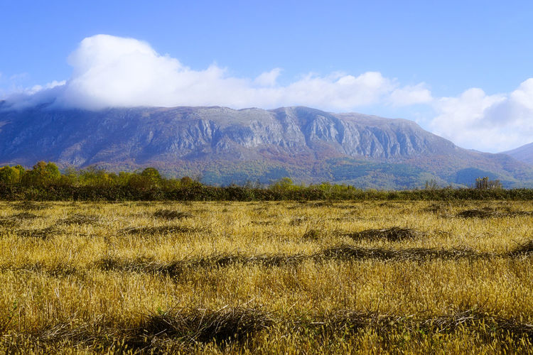 mountain