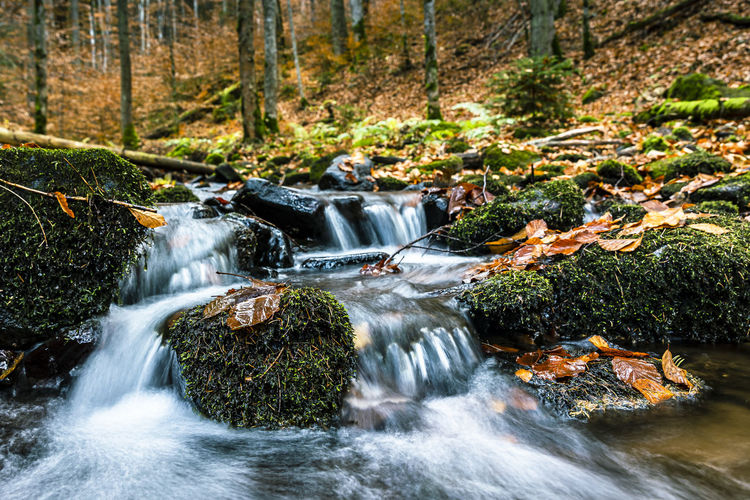 View of waterfall in forest