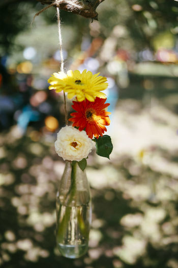 Close-up of vase against blurred background