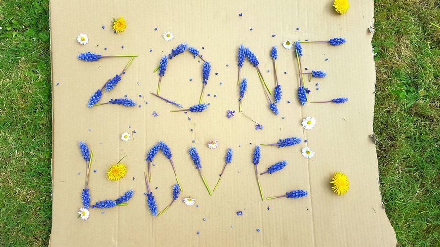 Directly above shot of zone love text made from flowers on cardboard