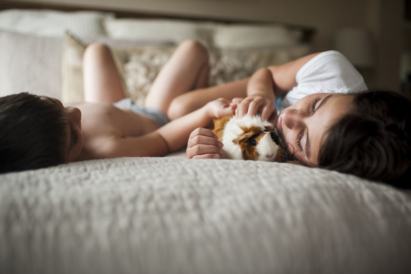 Siblings with guinea pig lying on bed at home