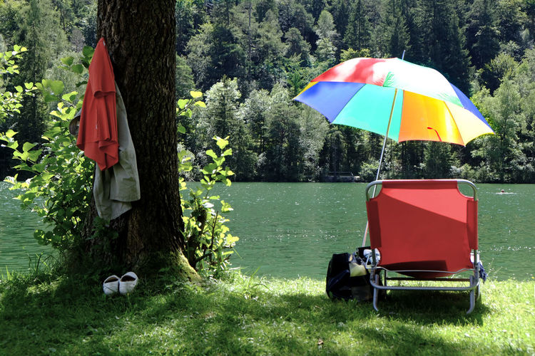 Deck chair and umbrella against river in forest