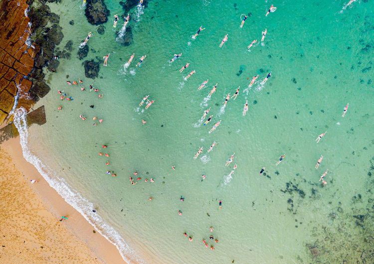 High angle view of people swimming on beach