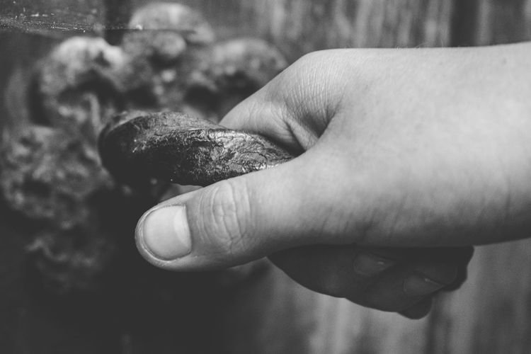 hand