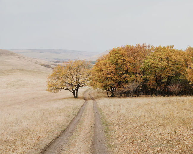 Road amidst trees on field against sky during autumn