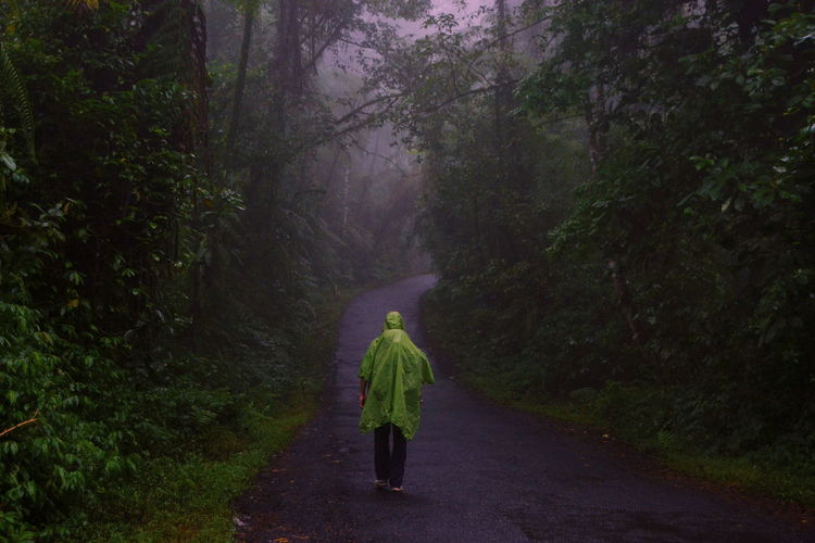Rear view of man walking on road amidst trees in forest