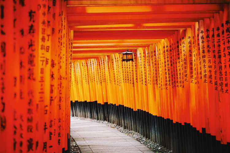 Arcade of torii in fushimi inari shrine