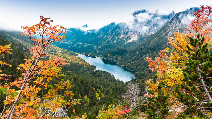 Scenic view of lake by trees against sky during autumn