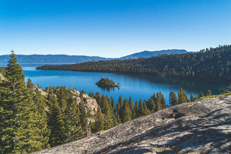 Scenic view of lake by trees against clear blue sky