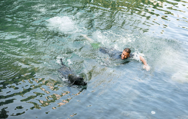 A man and his dog swimming in the river