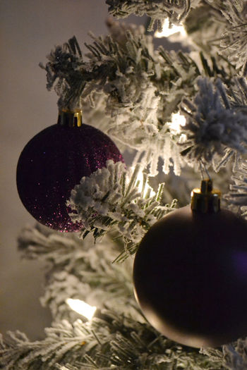 Close-up of christmas tree at home