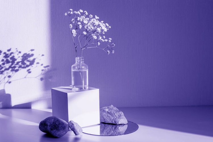 Still life with a branch of a gypsophila flower standing on a paper cube, near  stones on a mirror