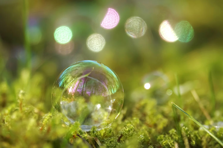 green