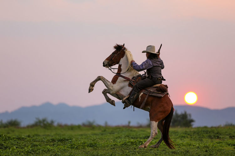 Man riding horse on land against sky