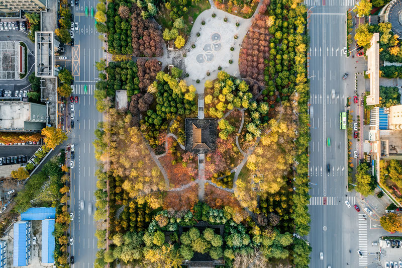 Aerial view of trees amidst buildings in city during autumn