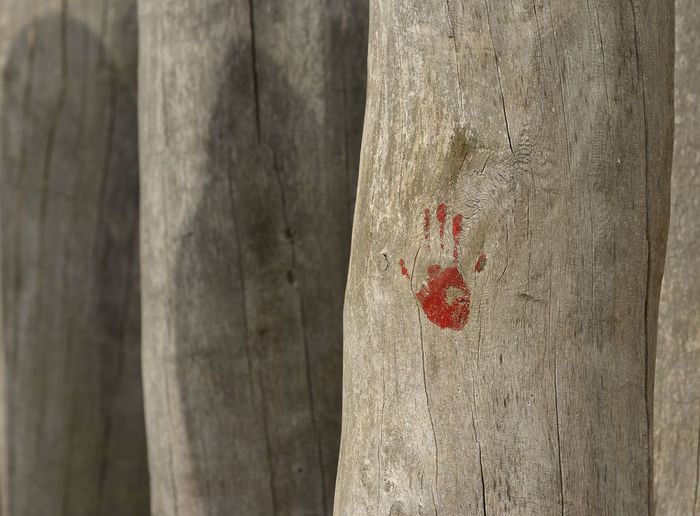 Red hand handprint on tree trunk
