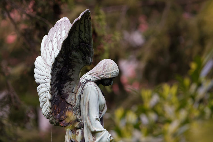 Close-up of angel statue against plants