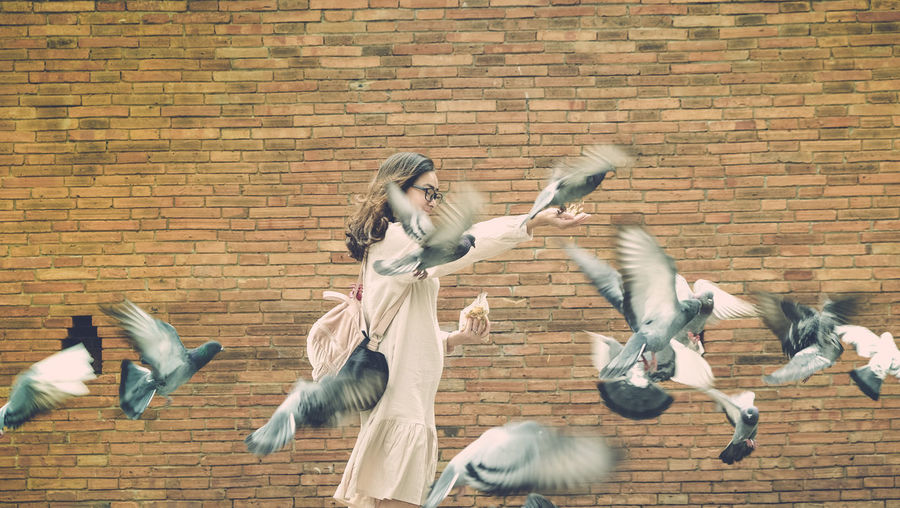 Pigeons flying against brick wall