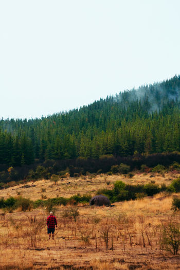 Man standing in forest against clear sky