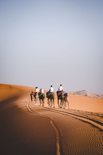 Tourists riding camels on sand dune in desert against clear sky