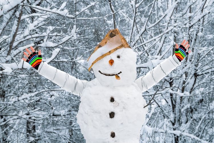 Portrait of woman with arms outstretched standing on snow