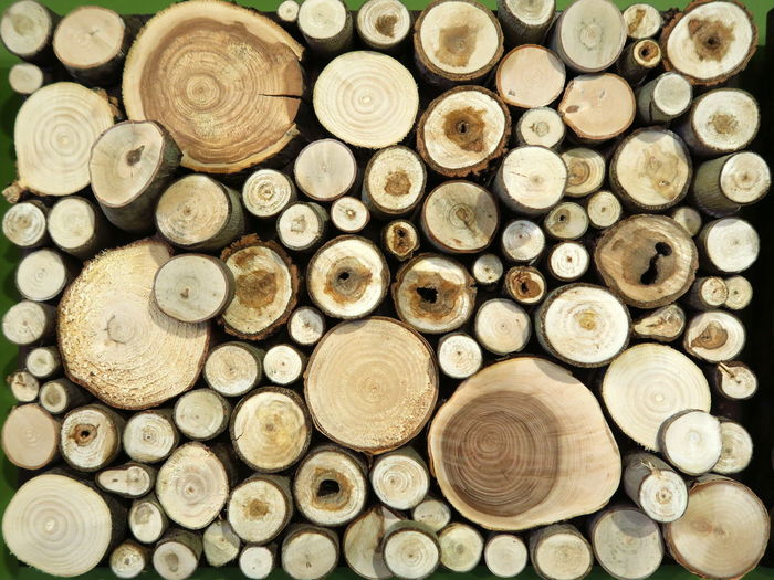 Full frame shot of firewood wood