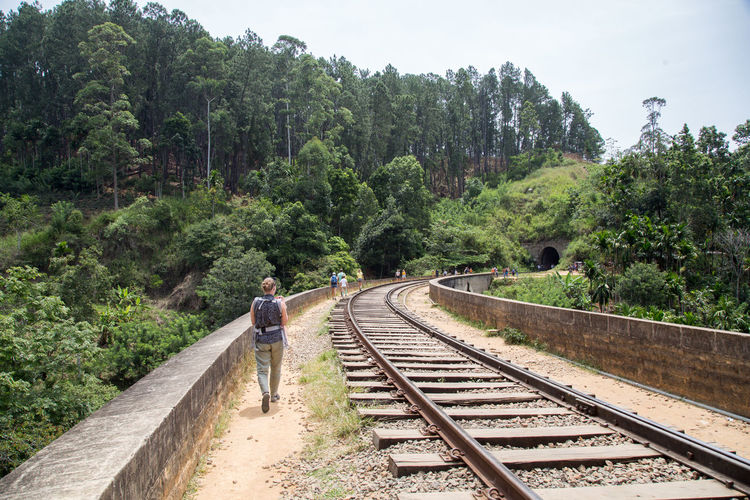 Rear view of man walking on railroad track amidst trees