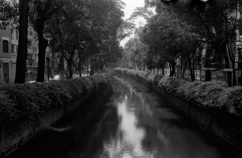 Canal amidst trees in city