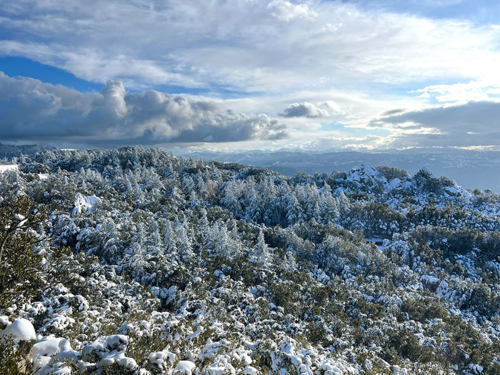 winter