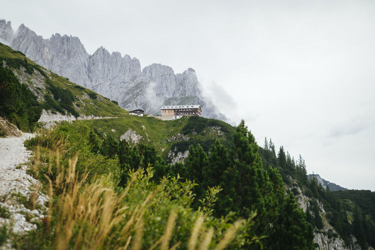 mountain