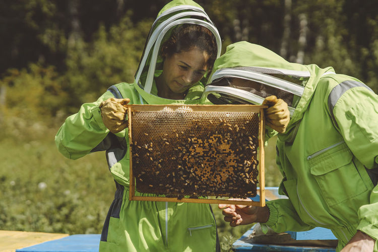 Beekeepers examining beehive together at apiary