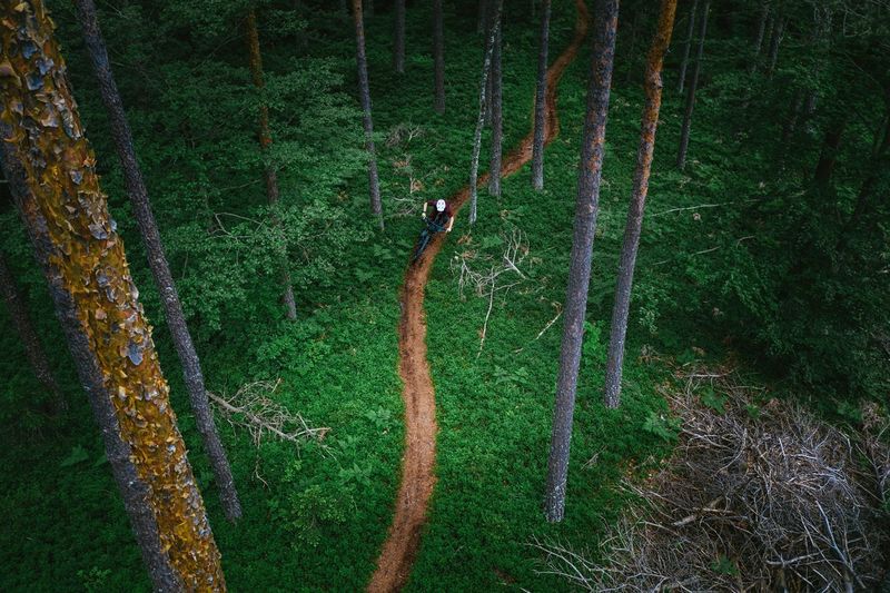 Aerial view of mountain biker in lush green forest, klagenfurt, austria.