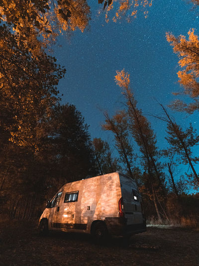 From below of white camper van parked in forest with tall trees and dry foliage in autumn in evening